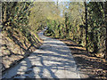 Lane following the Kempley Brook