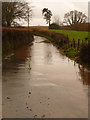 Stoke Abbott: floodwater on the Beaminster road