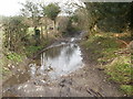 Muddy path ahead, Coed Mawr