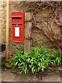 SY5195 : Nettlecombe: postbox № DT6 10 by Chris Downer