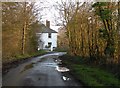 Part of Chapel Lane in Little Baddow