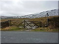 Double gate and stile