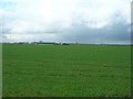 Farmland near Pocklington airfield
