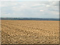 SE9341 : Farmland north of the A1079 by JThomas