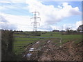 Electricity pylons, near Milton