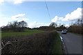 Road near Elms Farm, Bodiam