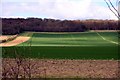 Farmland near Little Marlow