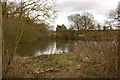 Pond near Brickyard Cottages