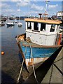 Lucy Lou at Brixham