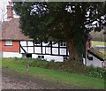 The aptly named Yew Tree Cottage