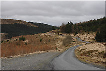 SN7390 : Mountain road through forestry by Nigel Brown