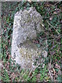 Old Milestone