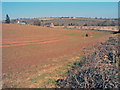 Rolling farmland at Yatton