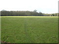 Footpath to Haycross Wood