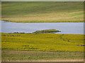 HU3815 : Loch of Brow and colourful meadow by Robbie