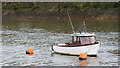 "Trade Winds" on the River Thames, Chiswick