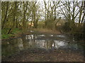 TQ9631 : Muddy byway near Rushfield Wood by David Anstiss