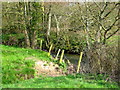 River Bride near Chilcombe Lane