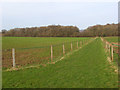 Pastures, Balsdon Farm, Kintbury