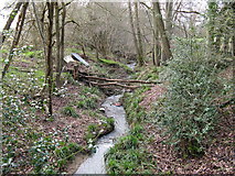 TQ1726 : The Gill stream near Ghyll House Farm by Dave Spicer