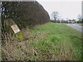 The Greenhead milestone in its setting beside the A52