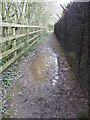 Tiverton : Muddy Puddle & Footpath