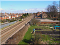 Allotments by the Railway Track