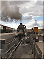 SE5951 : National Railway Museum Sidings by David Dixon