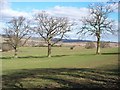 Farmland from Stourton Hill [3]