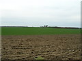 TA2039 : Farmland near Low Fosham by JThomas