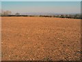 Arable field on Perrystone Hill