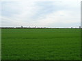 TA1632 : Farmland near Bilton by JThomas