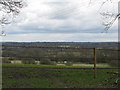 View east from Ups and Downs wood