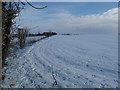 Snow-covered field in Hawstead