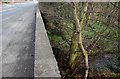 J2868 : Bridge, Kingsway, Dunmurry (2) by Albert Bridge