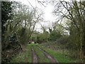 Public footpath to Shottesbrooke Park