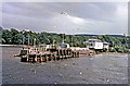 NS3882 : Balloch Pier station from Loch Lomond by John Lawson