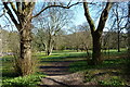 View from woodland in Kearsney Abbey