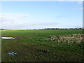 Fields north of Murton