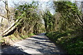 Minnis Lane descending towards River