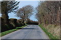 Road passing Bryn-amlwg farm