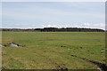 Field south of Bryn-amlwg