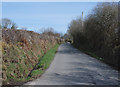 Road approaching Rhos Haminiog