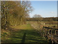 Footpath towards Little Tiffenden Farm