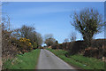 Minor road through Rhos Haminiog