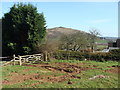 Corner of field at Hamwood, near Christon, with view of Crook Peak