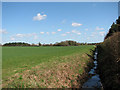 TG0304 : View across fields north-west of Gresham Farm by Evelyn Simak