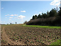 TG0303 : Farm track to Sandy Lane in Nordelph Corner by Evelyn Simak