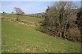 Permissive path to Cockingford