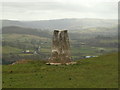 Dolaucothi Trig Point